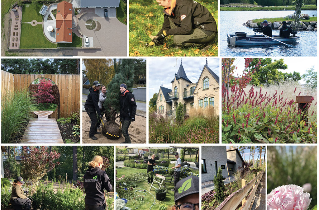 TRÄDGÅRDSTIPS – REFLEKTION 2020